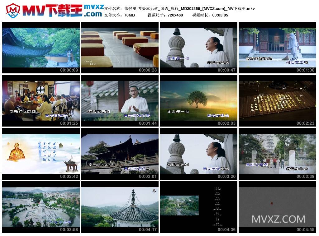 徐健淇-菩提本无树_国语_流行_MD202355